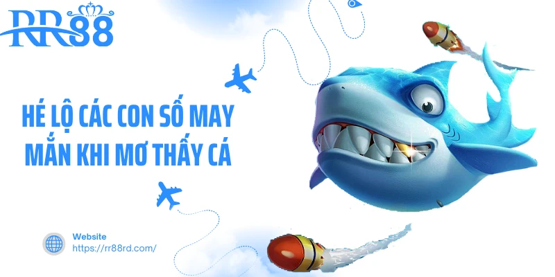 Hé lộ các con số may mắn khi mơ thấy cá